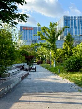 A serene urban park scene in Shanghai with a pedestrian pathway and modern architecture.
