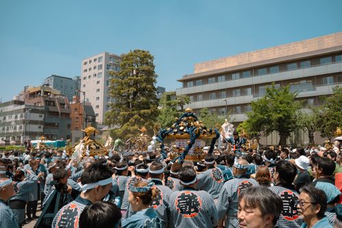Free Crowd gathered in Tokyo for a traditional Japanese festival with ornate mikoshi. Stock Photo