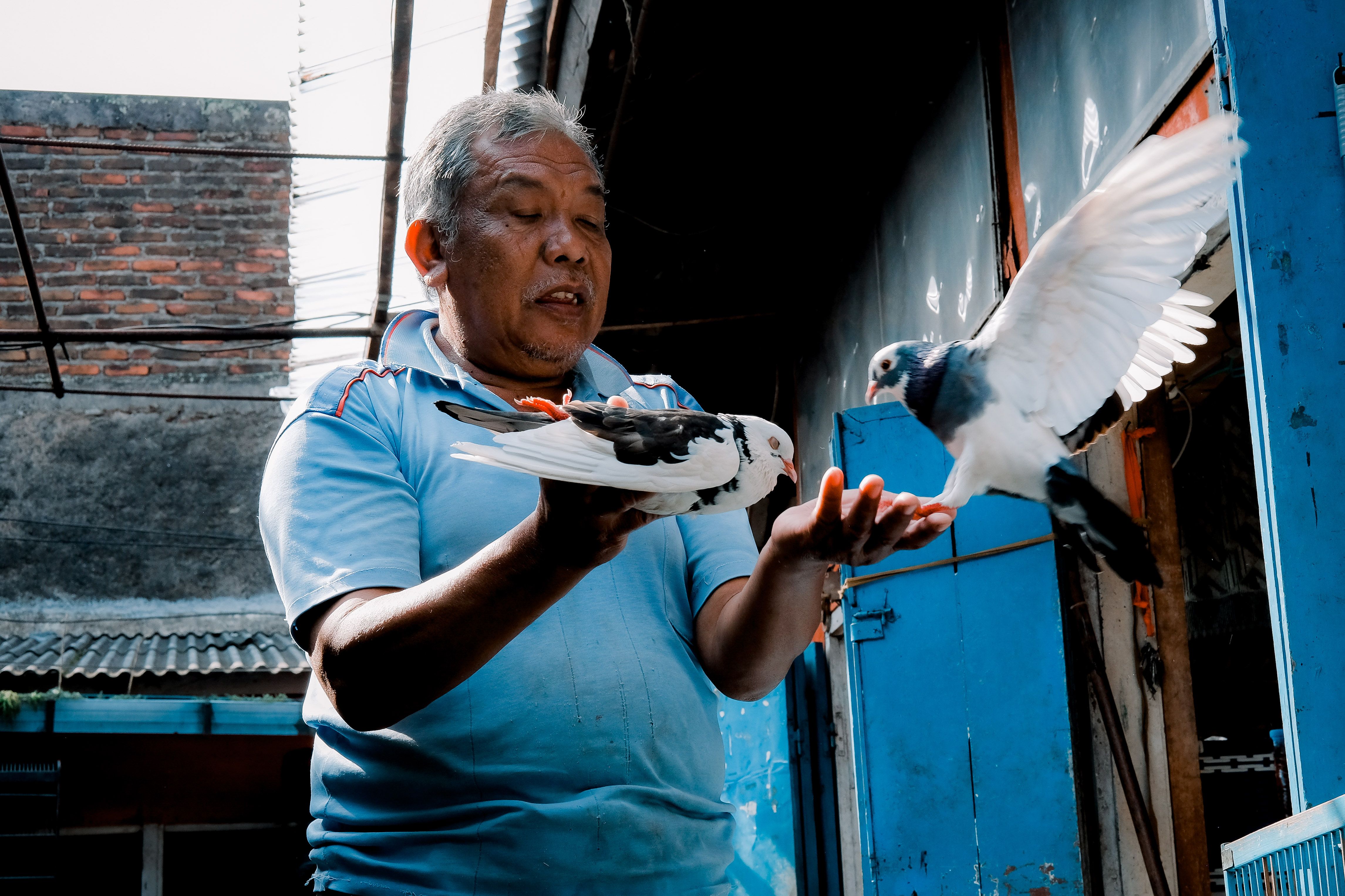 man interacting with pigeons in west java