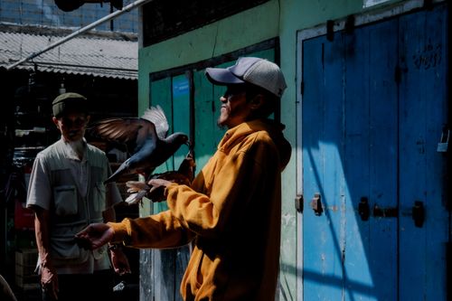 Free A man interacts with a pigeon on an outdoor street in West Java, Indonesia, during daylight. Stock Photo