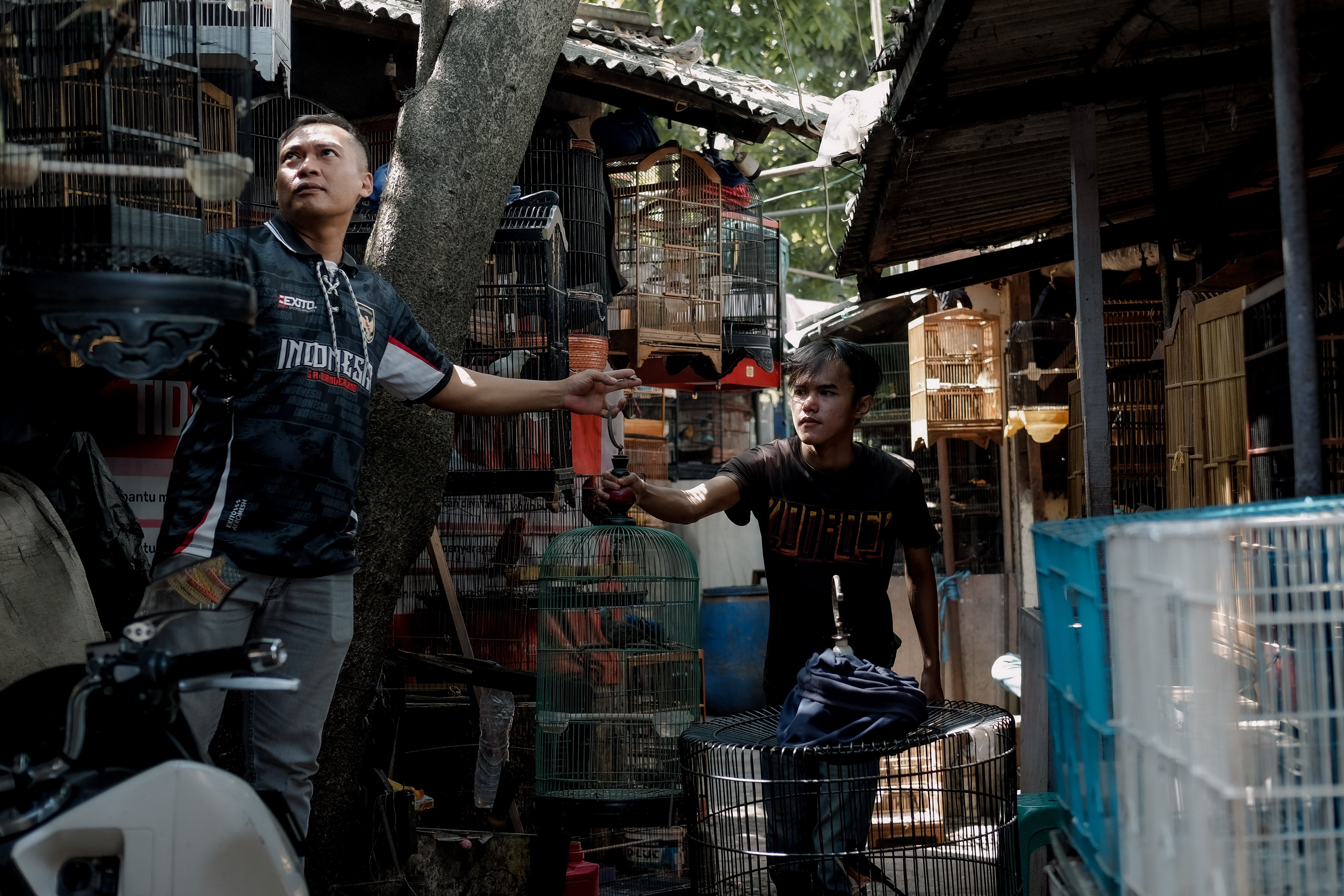 Two men interacting with birdcages in a market setting in West Java, Indonesia.