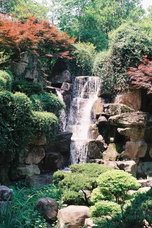 Free Serene waterfall cascading through vibrant green foliage, perfect for nature enthusiasts. Stock Photo