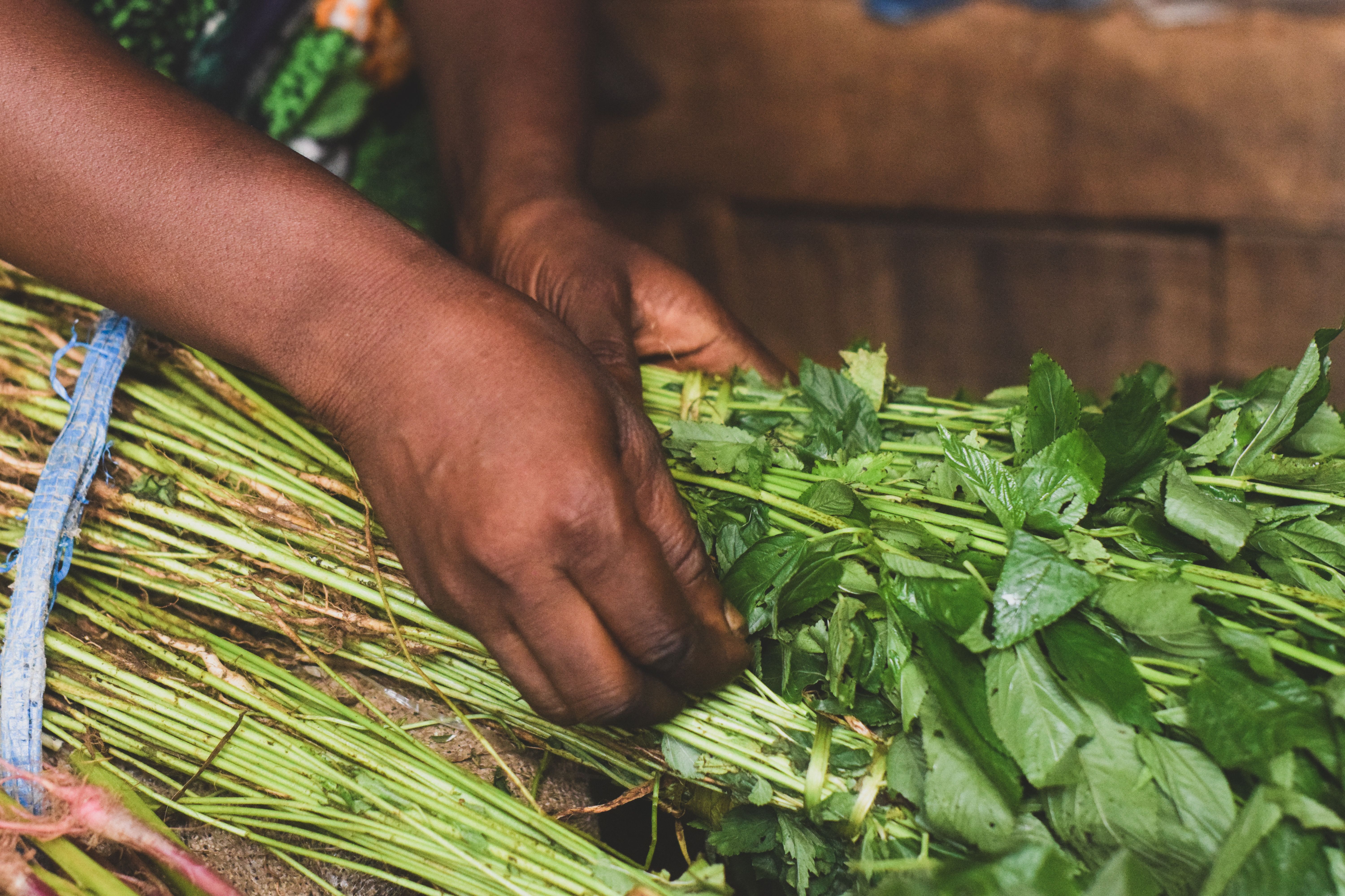 Graduate Certificate in Nutrition and Agricultural Business