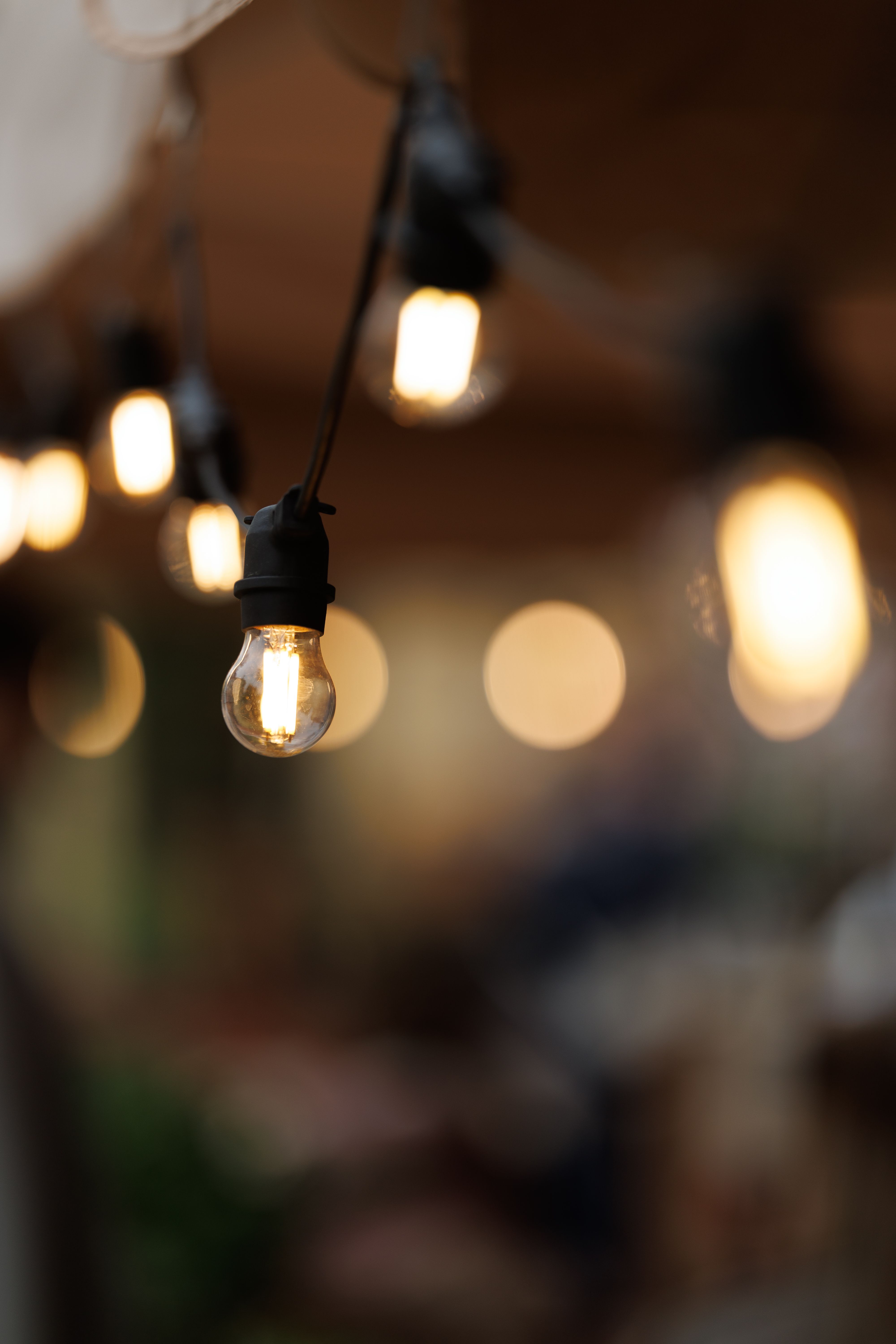 Warm festoon bulbs on black sockets glowing at dusk