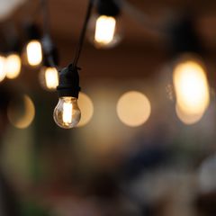 Warm festoon bulbs on black sockets glowing at dusk