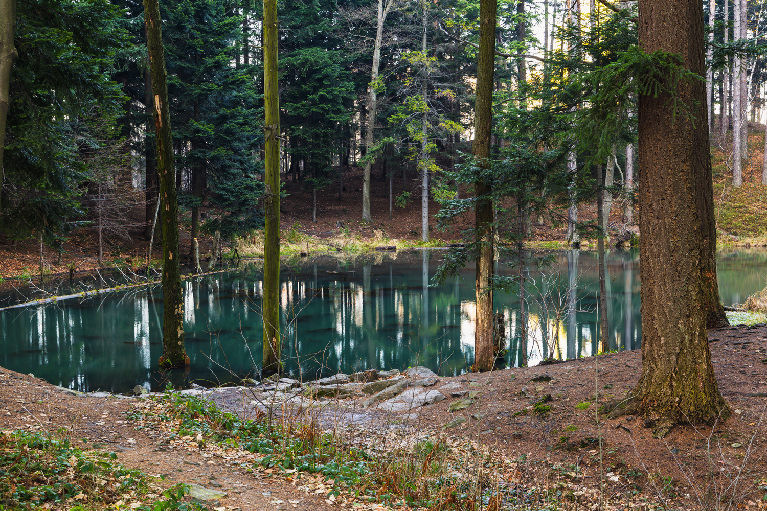 Seasonal wildlife pond on property