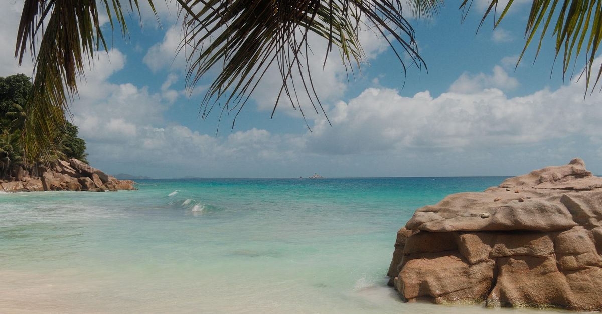 Experience the serene beauty of a Seychelles beach with palm trees and crystal clear waters, perfect for a tropical getaway.