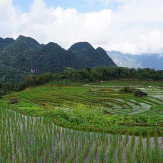 Pu Luong