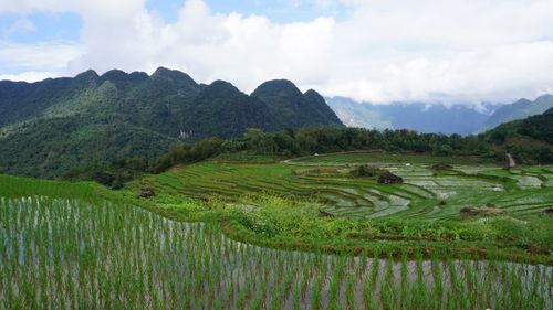 Free Explore the breathtaking rice terraces of Pu Luong, Vietnam, offering stunning views and natural beauty. Stock Photo