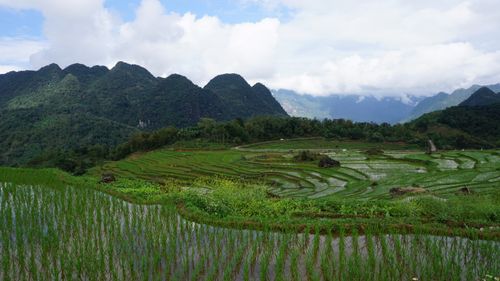 Free Breathtaking view of rice terraces in Pu Luong Nature Reserve, Vietnam. Stock Photo