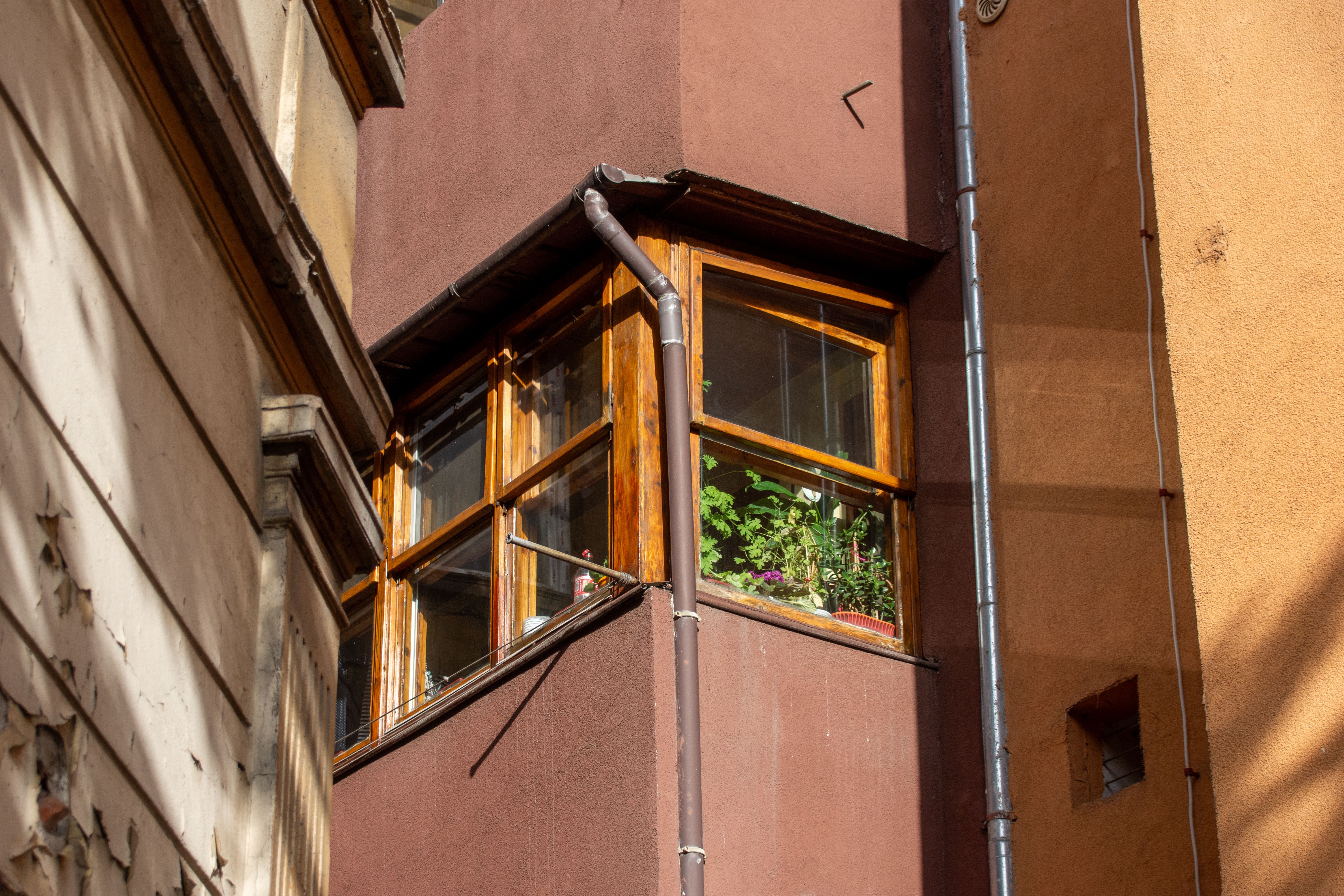 Exterior Painting in Farringdon — dust sheets down and the room fully protected