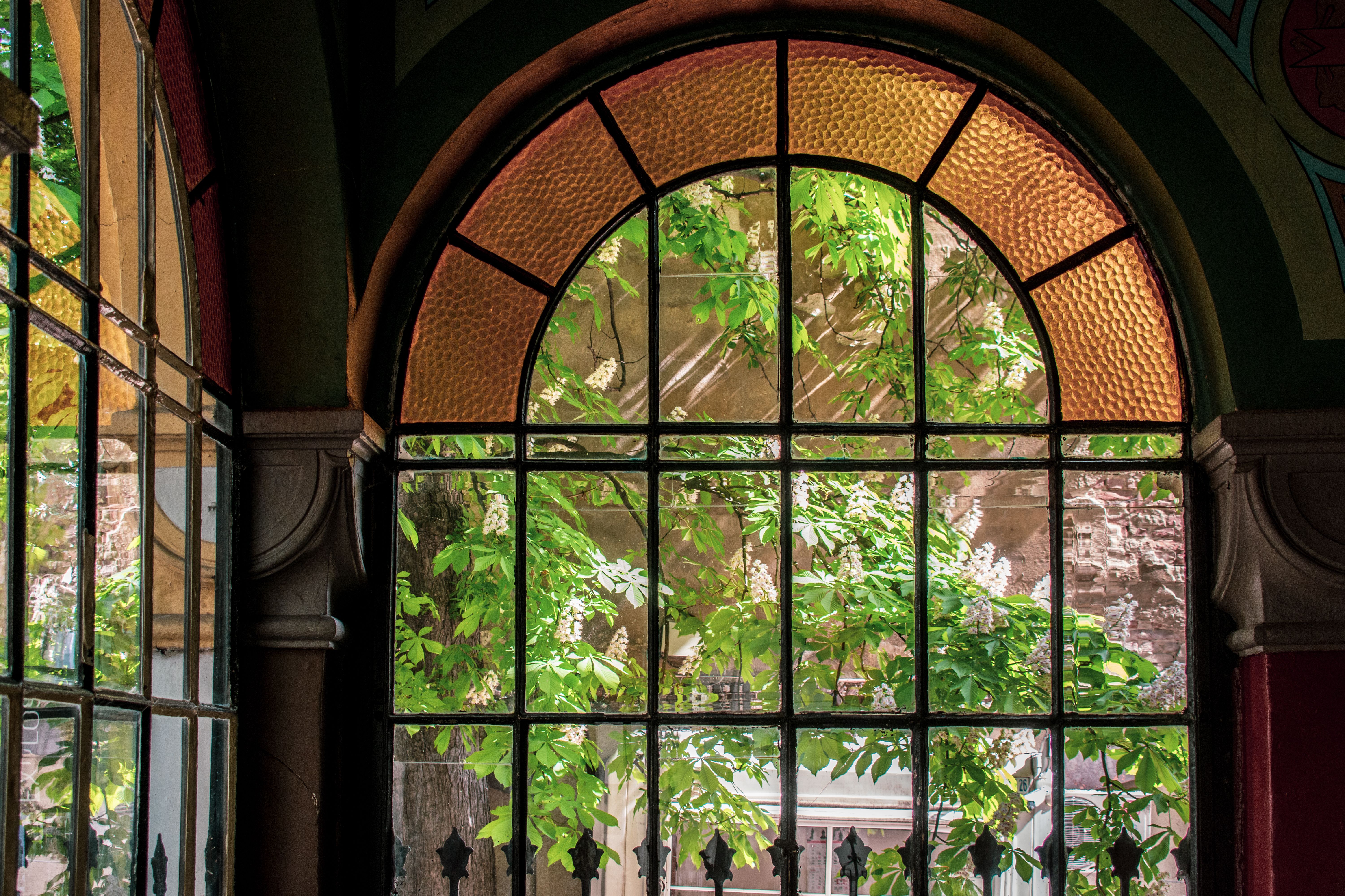 A view through an elegant arched window with vibrant greenery outside.
