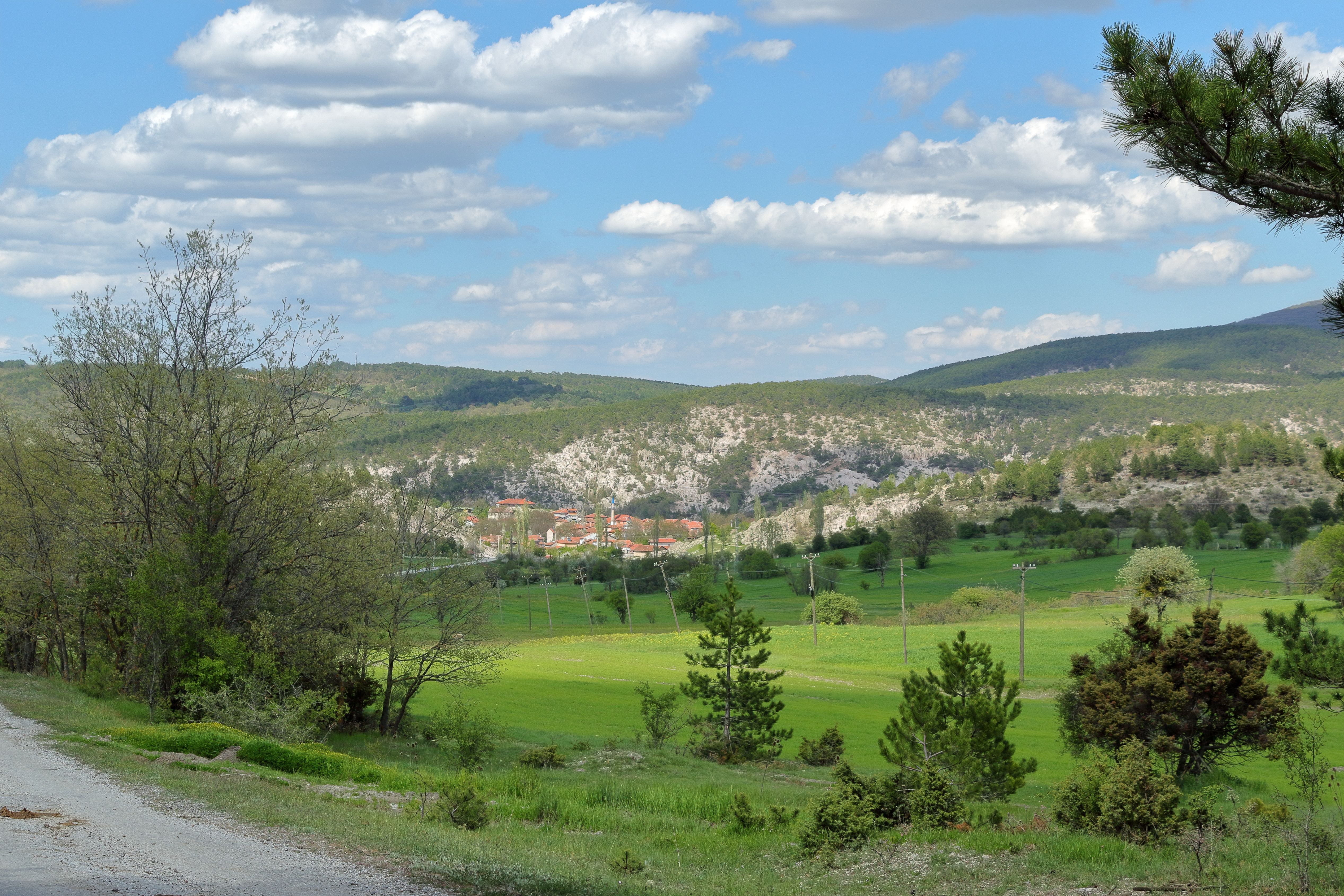 Florina · area photo 2