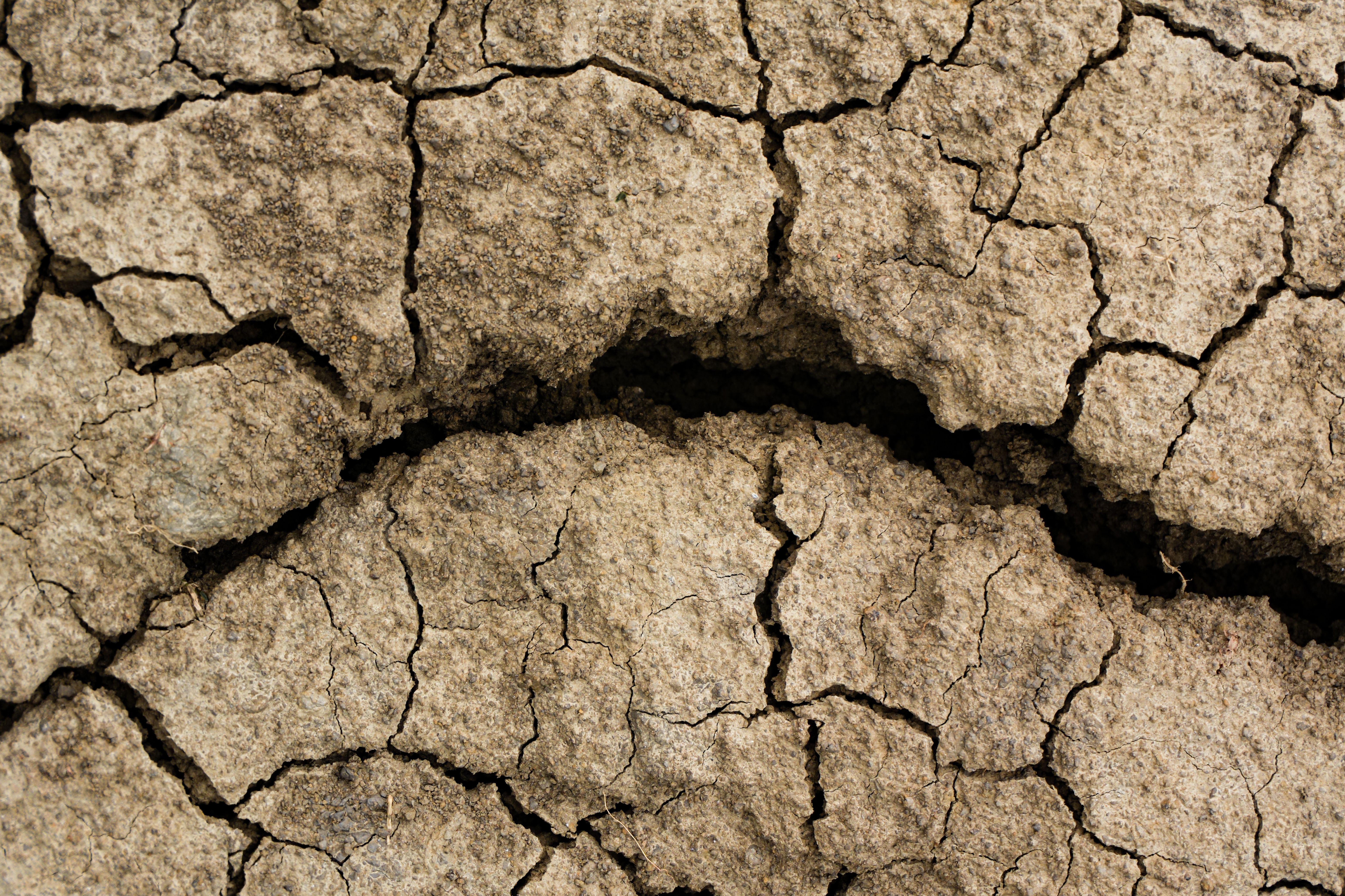 Feedbacks upon feedbacks: Rock weathering and the climate