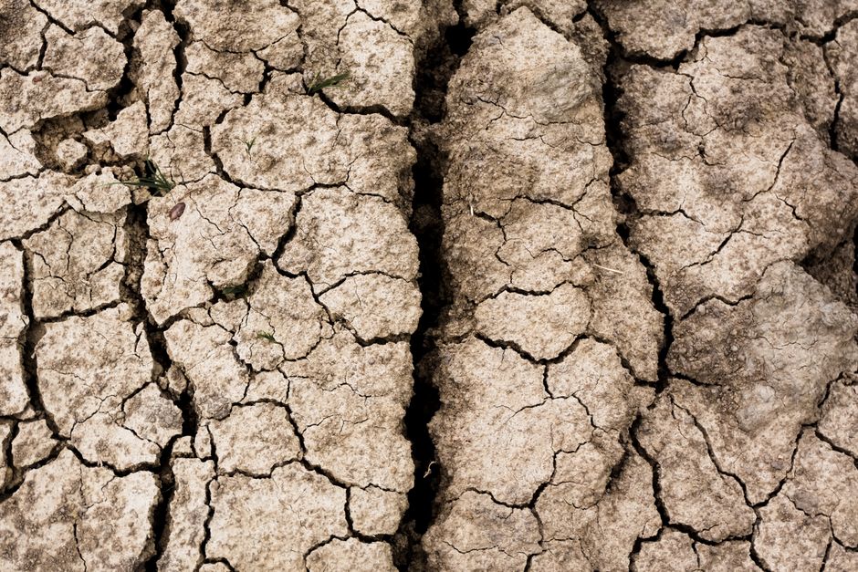 When the Trump administration cracks down on Anthropic, who benefits?