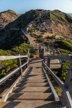 在澳大利亚墨尔本，探索通往山顶风景的木楼梯之美