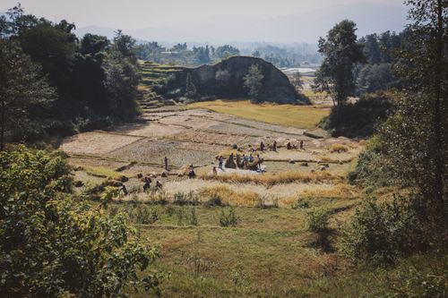 Free Scenic view of farmers harvesting in terraced fields with lush greenery. Stock Photo