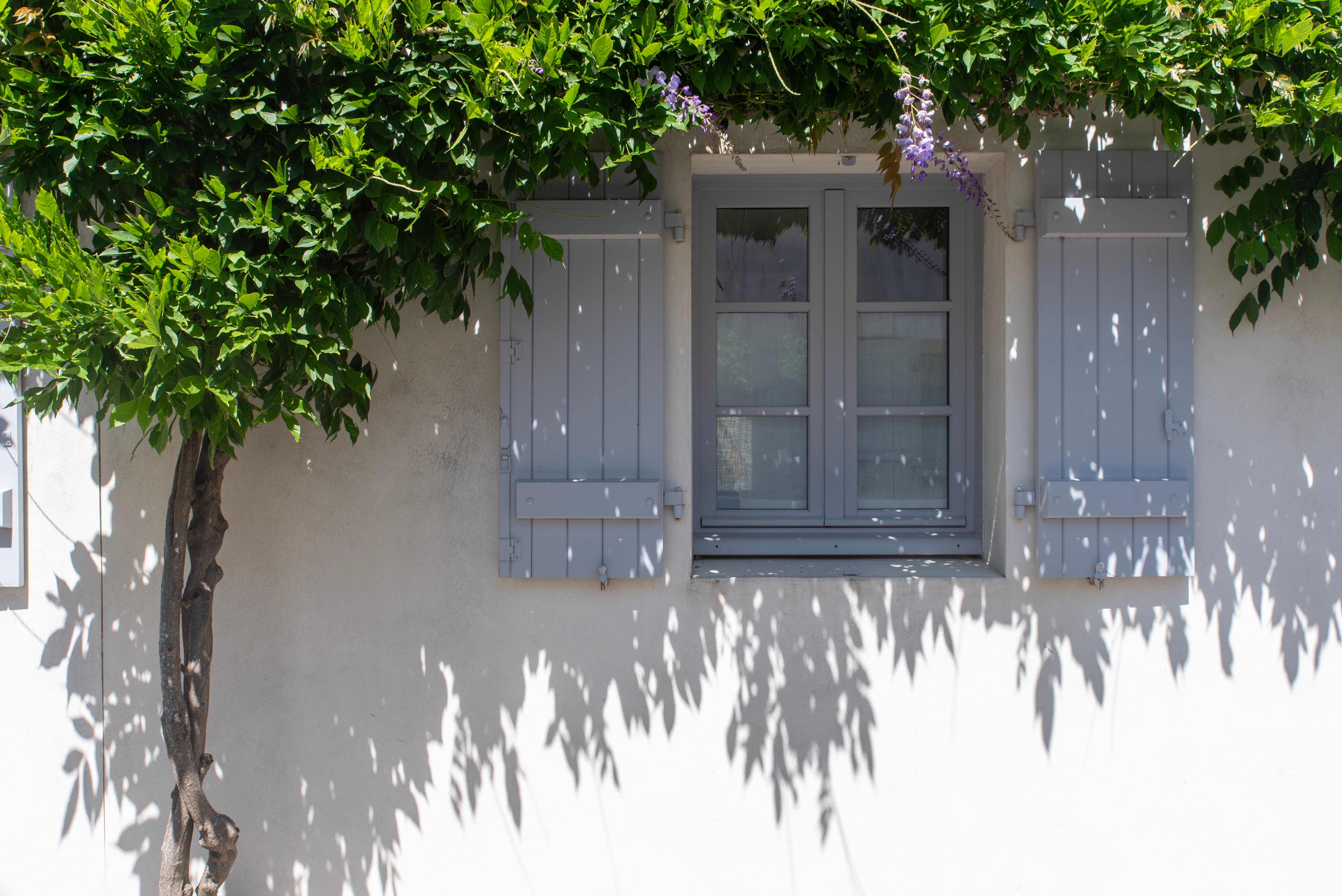 Exterior Painting in Downe — dust sheets down and the room fully protected