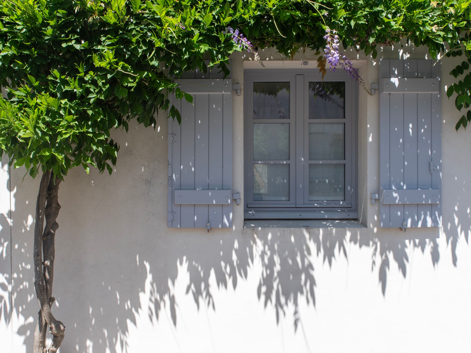 Exterior Painting in Paddington, Westminster — painter refreshing a house exterior in weatherproof paint