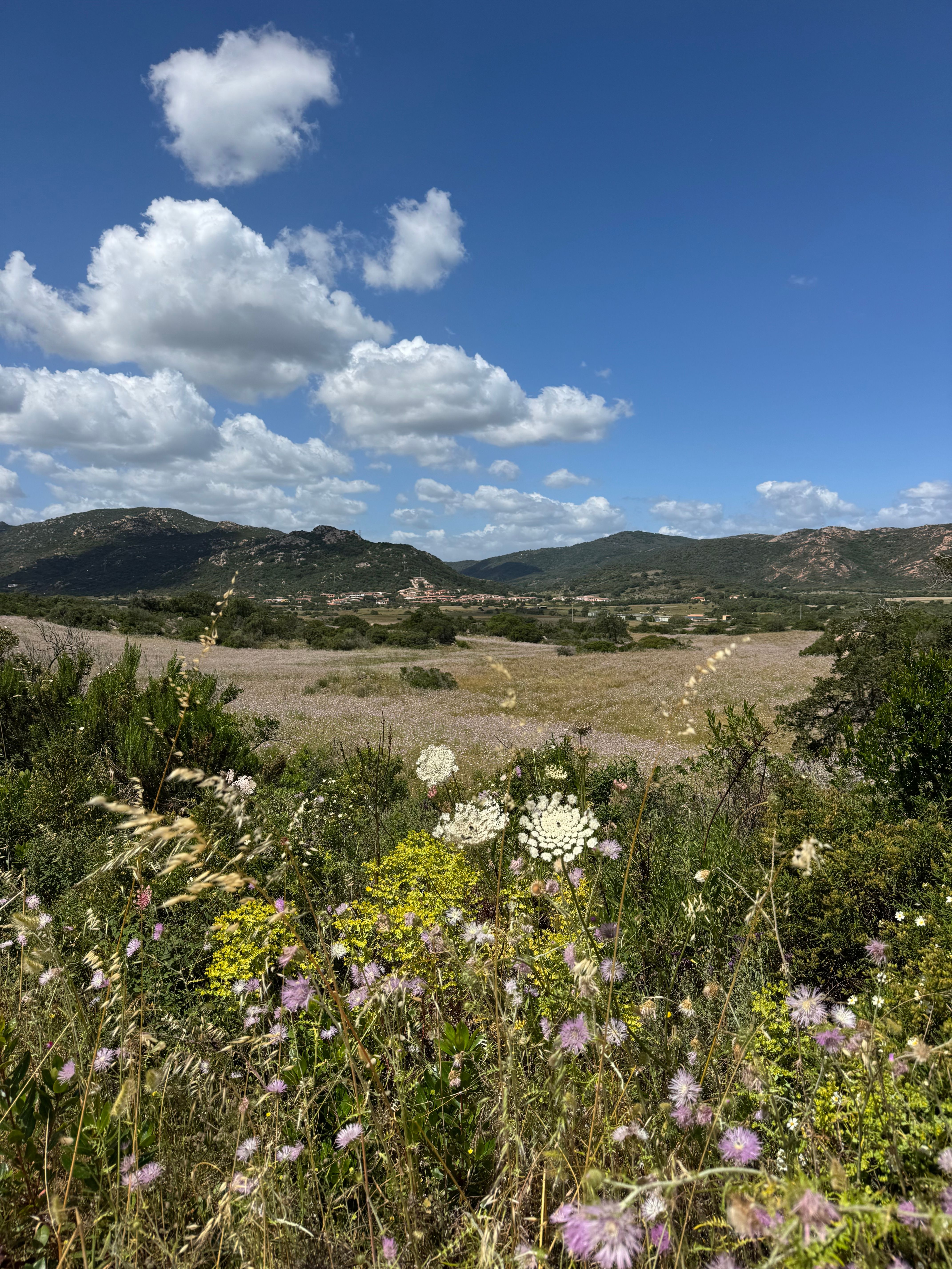 Territorio