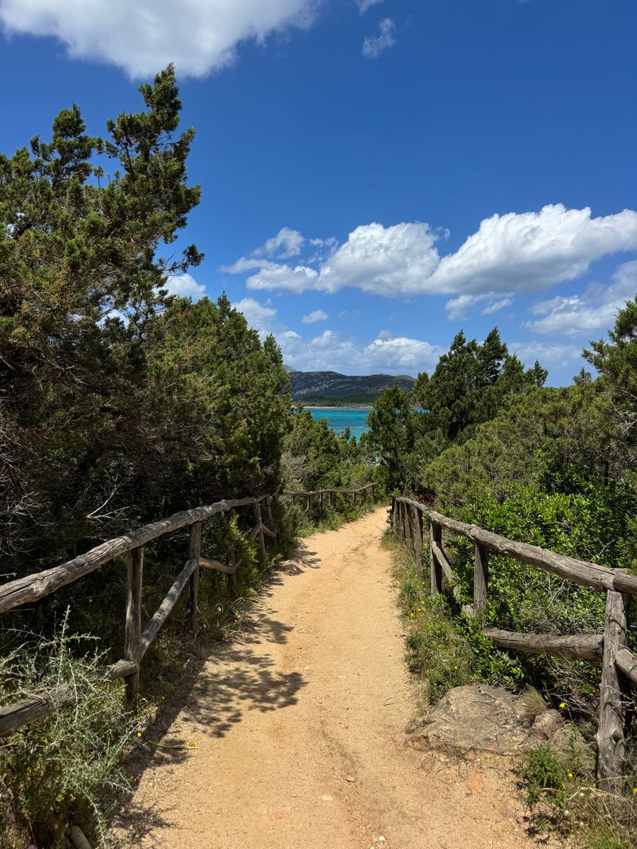 Sandy coastal footpath running down toward the sea — photo by Petra Nesti from Pexels