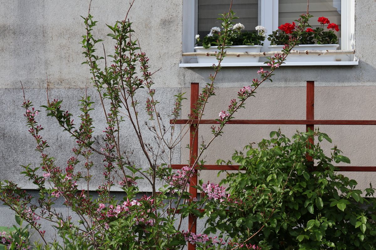 flat moves in Aldeburgh — Flat Moves in Aldeburgh — the working end of the job