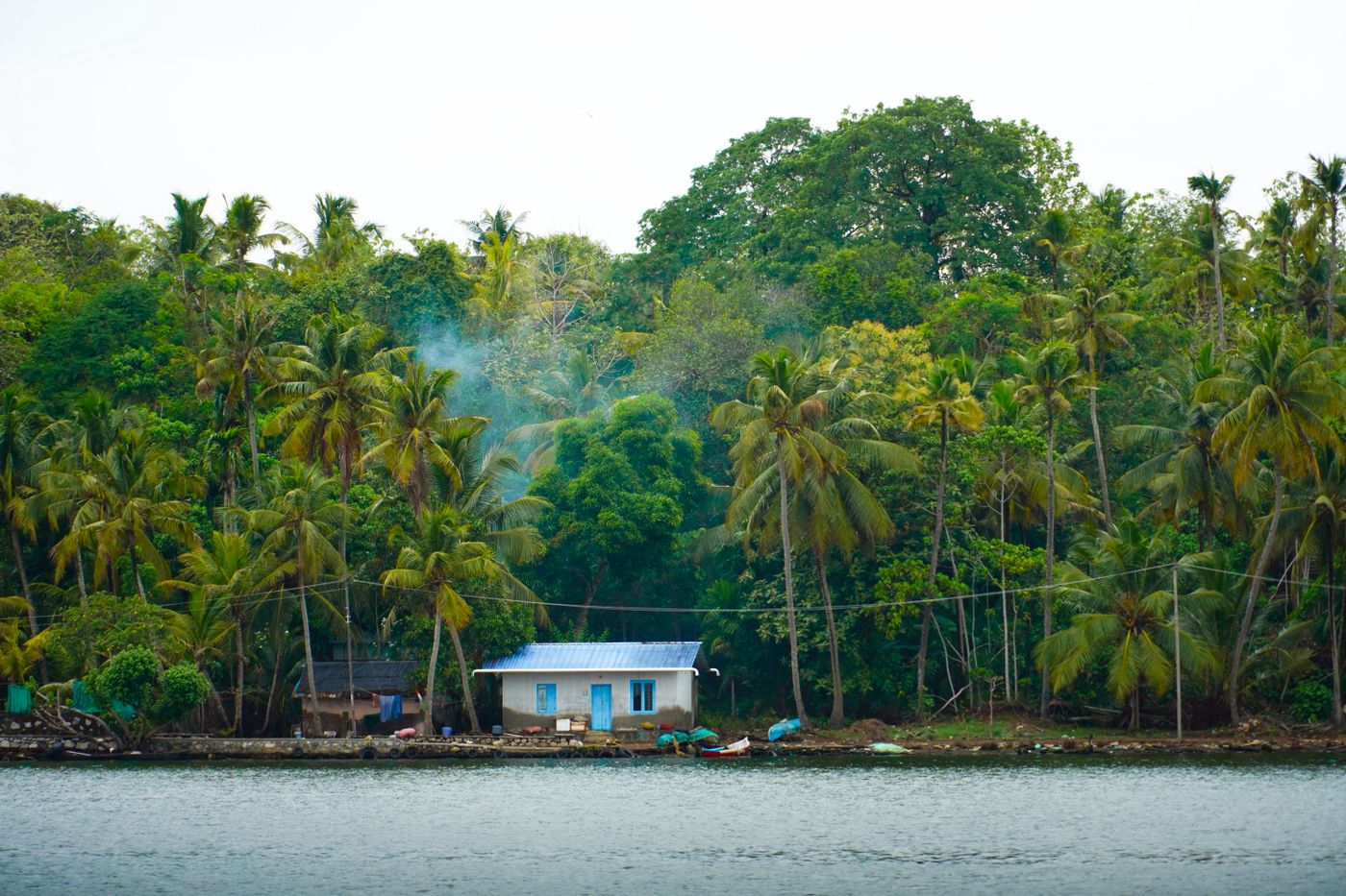 A quiet home beside a palm-lined river