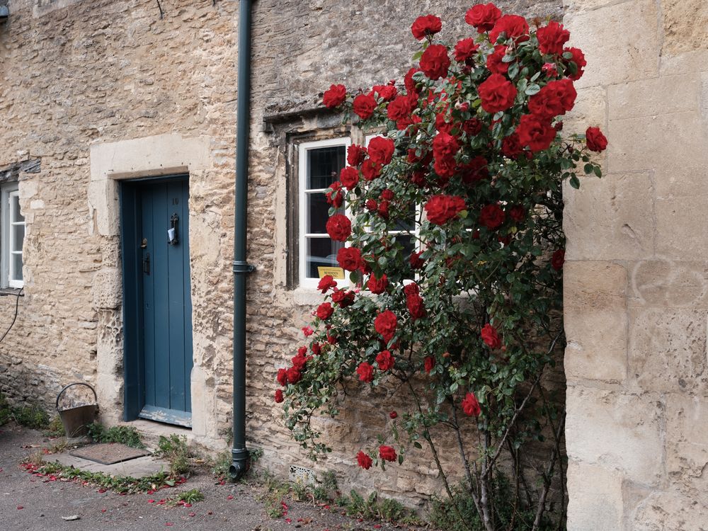 Red Cottage Roses Background Charming Stone Cottage with Red Roses · Free Stock Photo