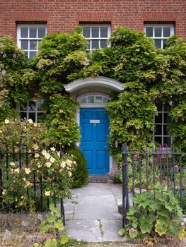 Elegant red brick house with blue door and lush ivy decor. Captivating mix of nature and architecture.