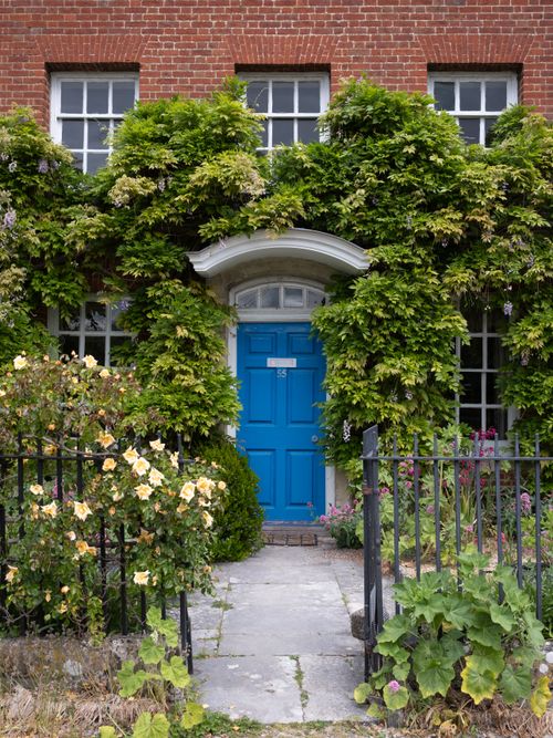 Free Elegant red brick house with blue door and lush ivy decor. Captivating mix of nature and architecture. Stock Photo