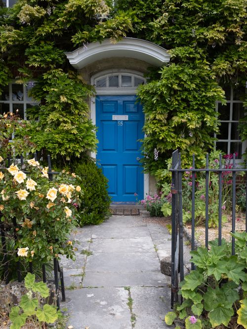 Free Charming blue door framed by lush greenery and vibrant flowers, perfect for home decor inspiration. Stock Photo
