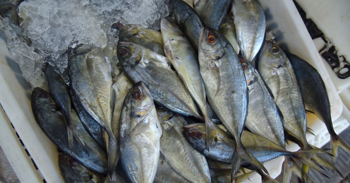 Saba Markets — Caribbean travel guide
