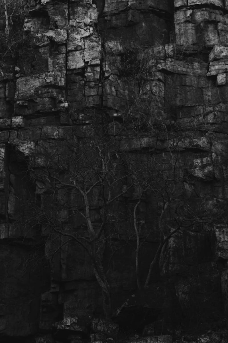 Pessoa caminhando na natureza e refletindo sobre bem-estar integral