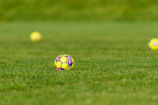 Brightly colored soccer balls scattered on lush green grass field during a sunny day.