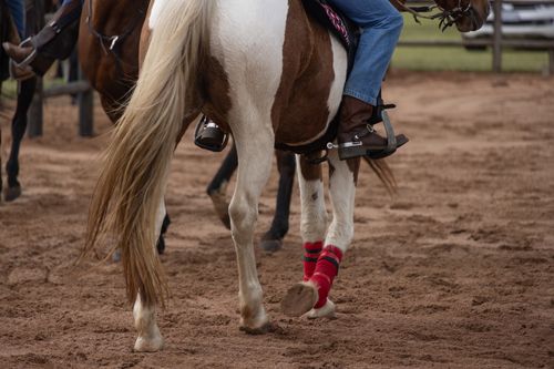 Free Close-up of horseback rider in jeans and boots, showcasing western riding style. Stock Photo