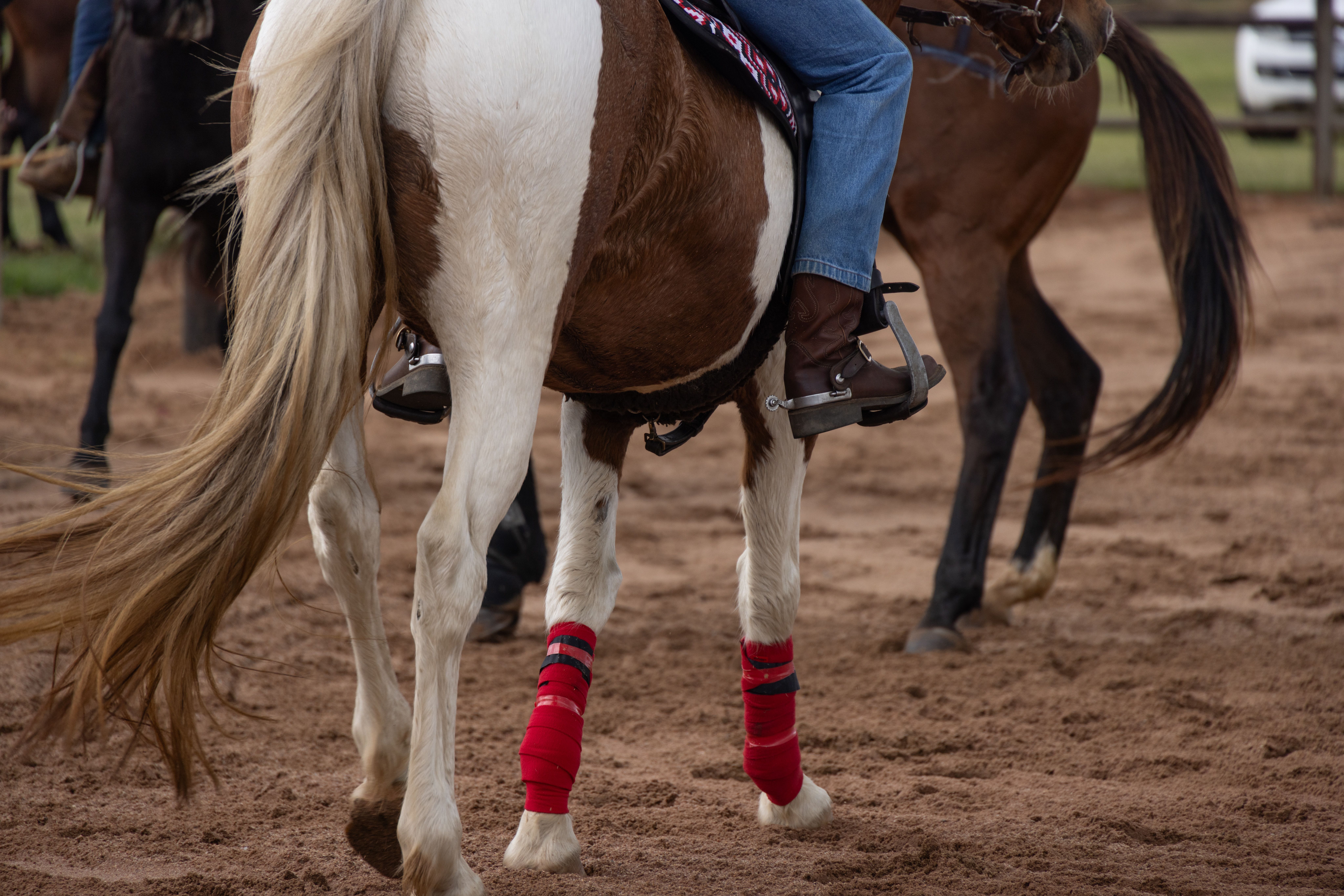 Close-up of a pinto horse being ridden in a sandy arena by a cowboy boot-wearing rider.