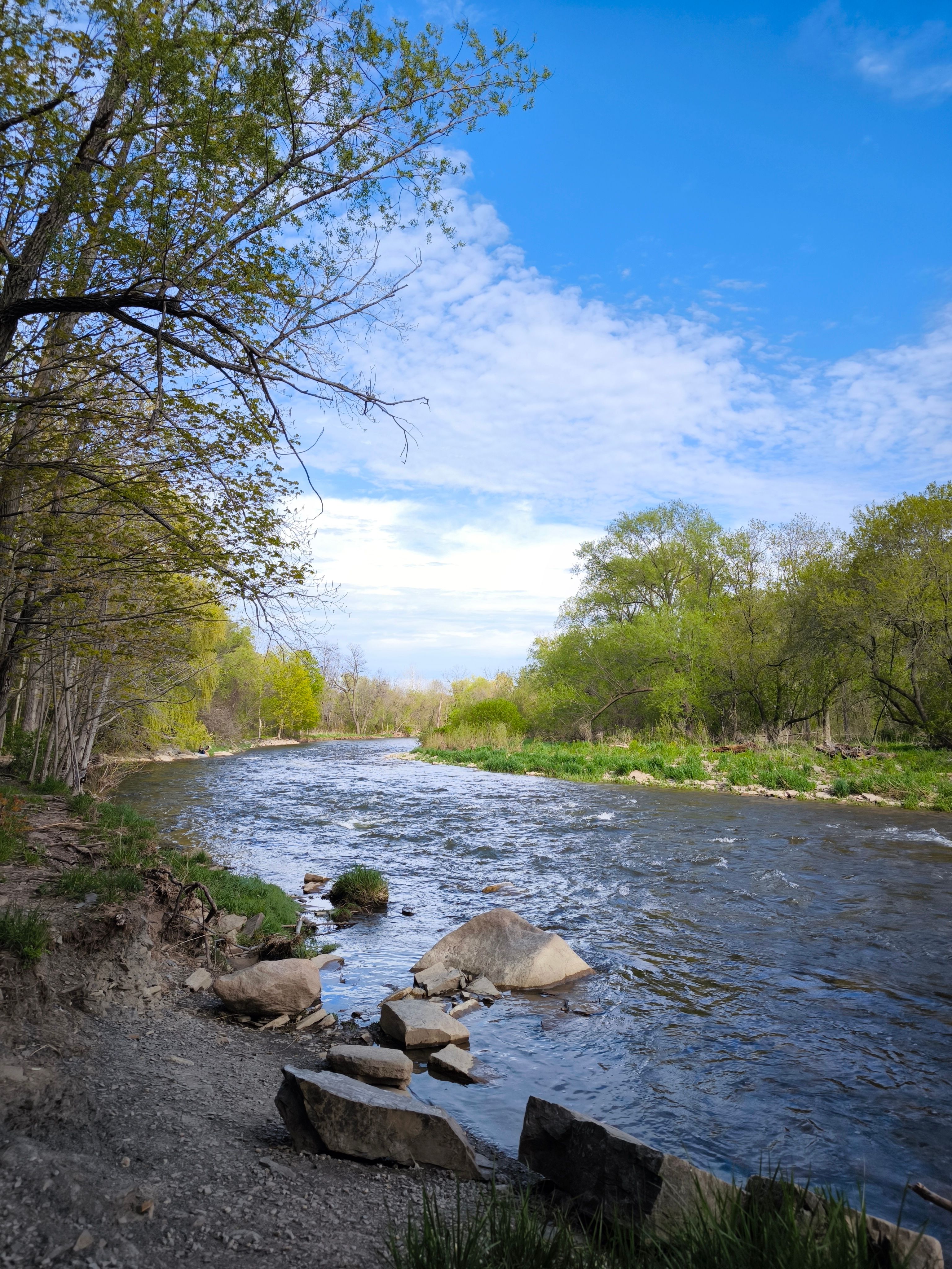 Serene Spring River Scene in Mississauga · Free Stock Photo