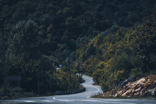 A winding road gently curves through a lush, dense forest under a moody sky, evoking tranquility.