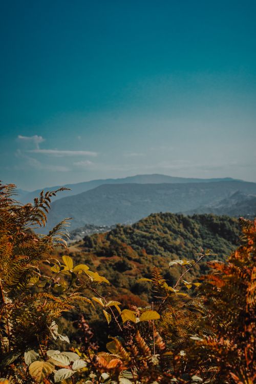Free Scenic view of autumn foliage and distant mountains under a clear blue sky. Stock Photo