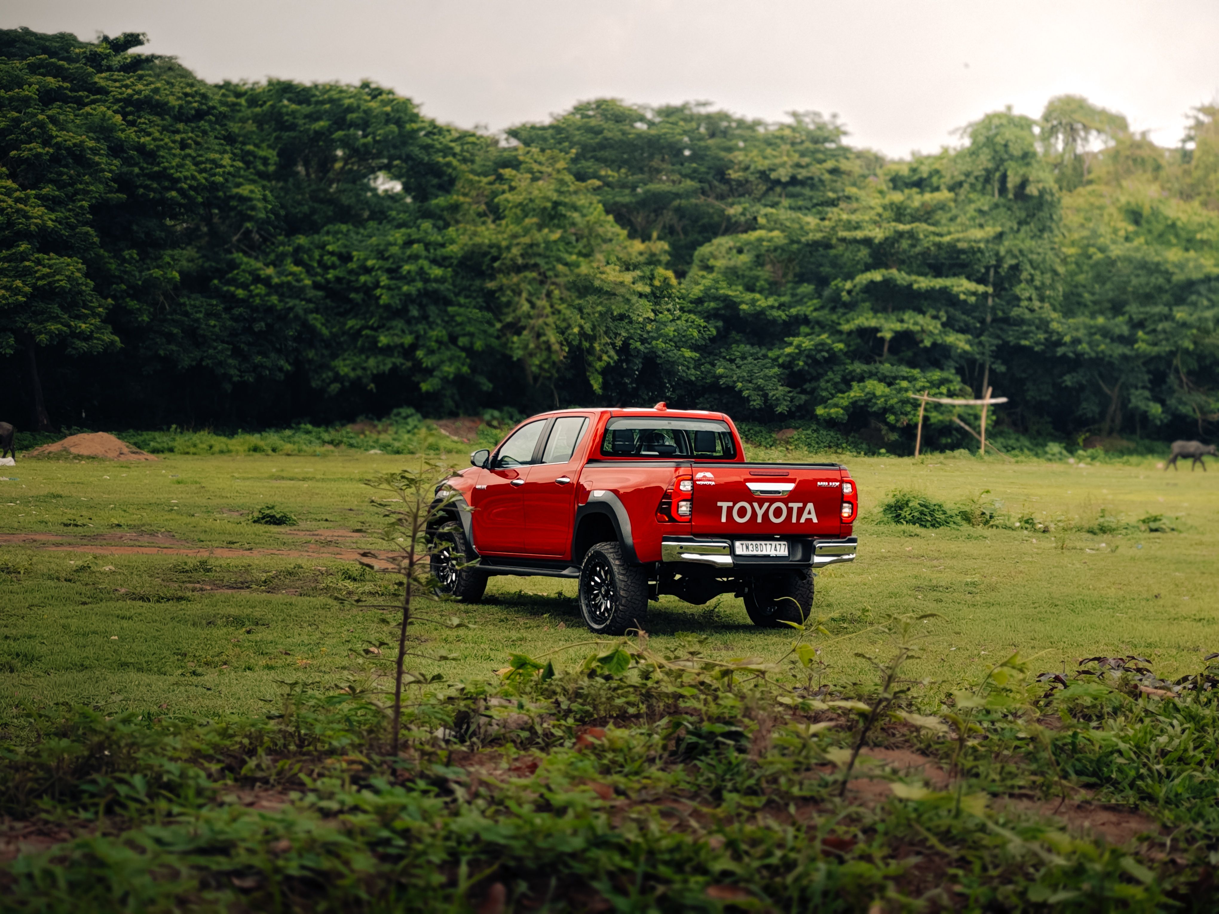 Toyota recalls more than 43K Tundra trucks due to engine concerns — Photo by Samuel Francis on Pexels