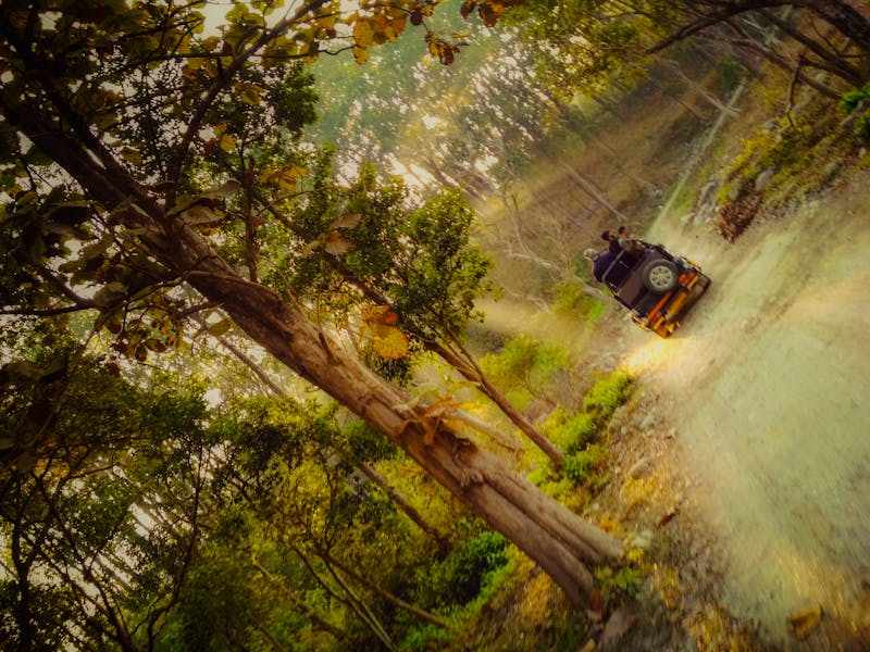 Portret Ioana Moldovan