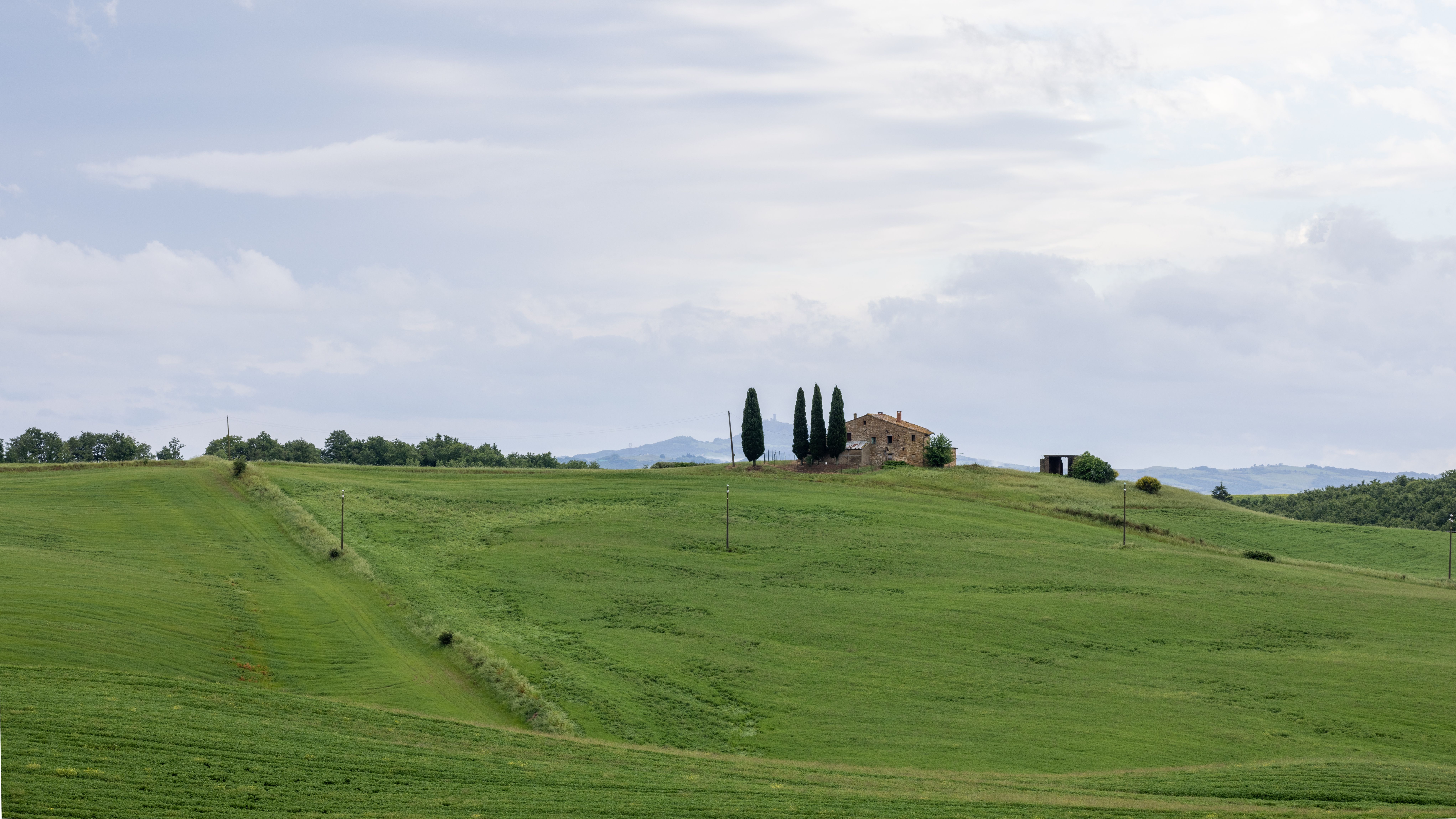 Vigneti del Chianti