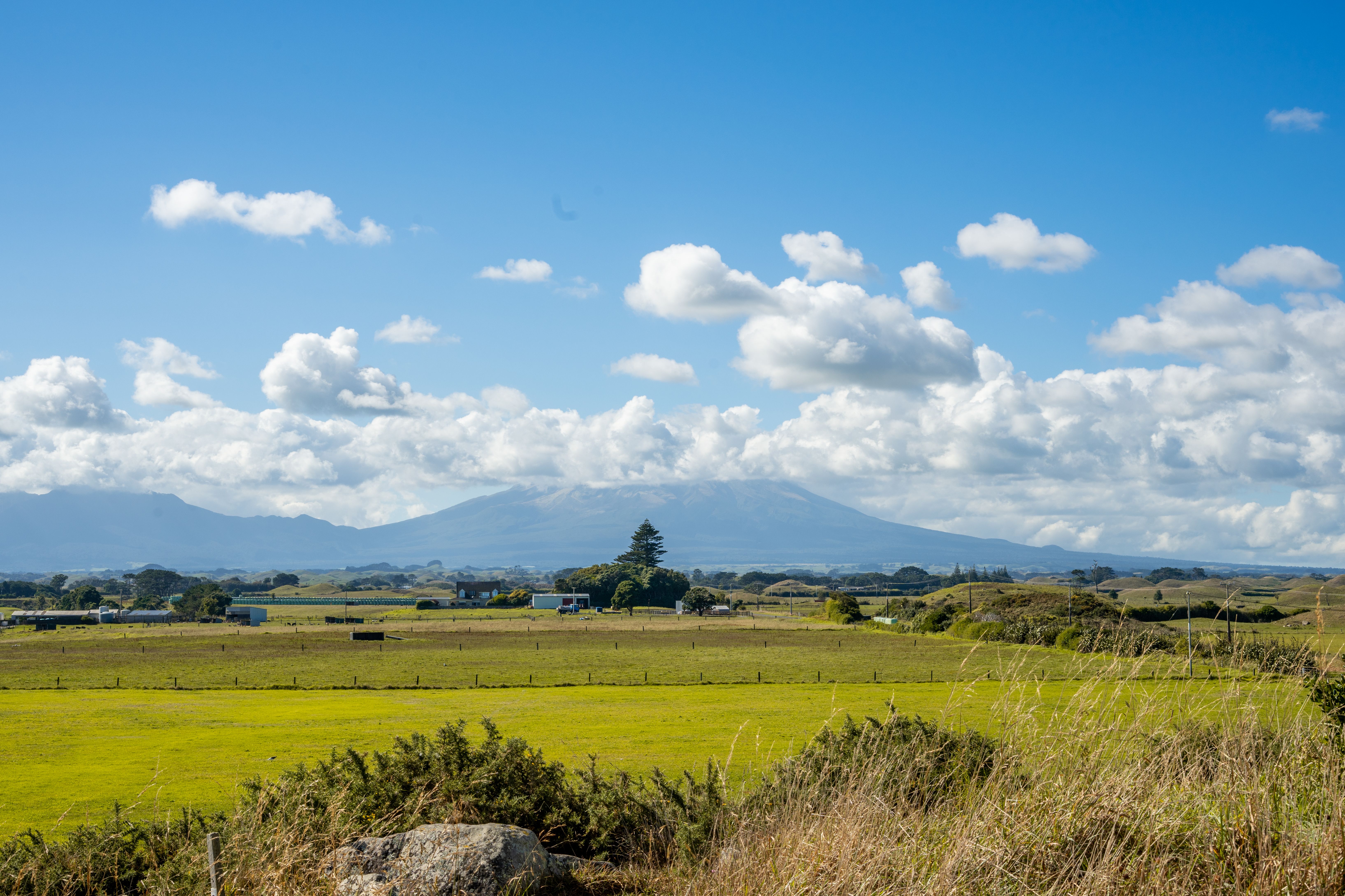 Landmarks in Ohakune