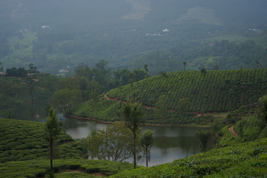 Munnar photo 3