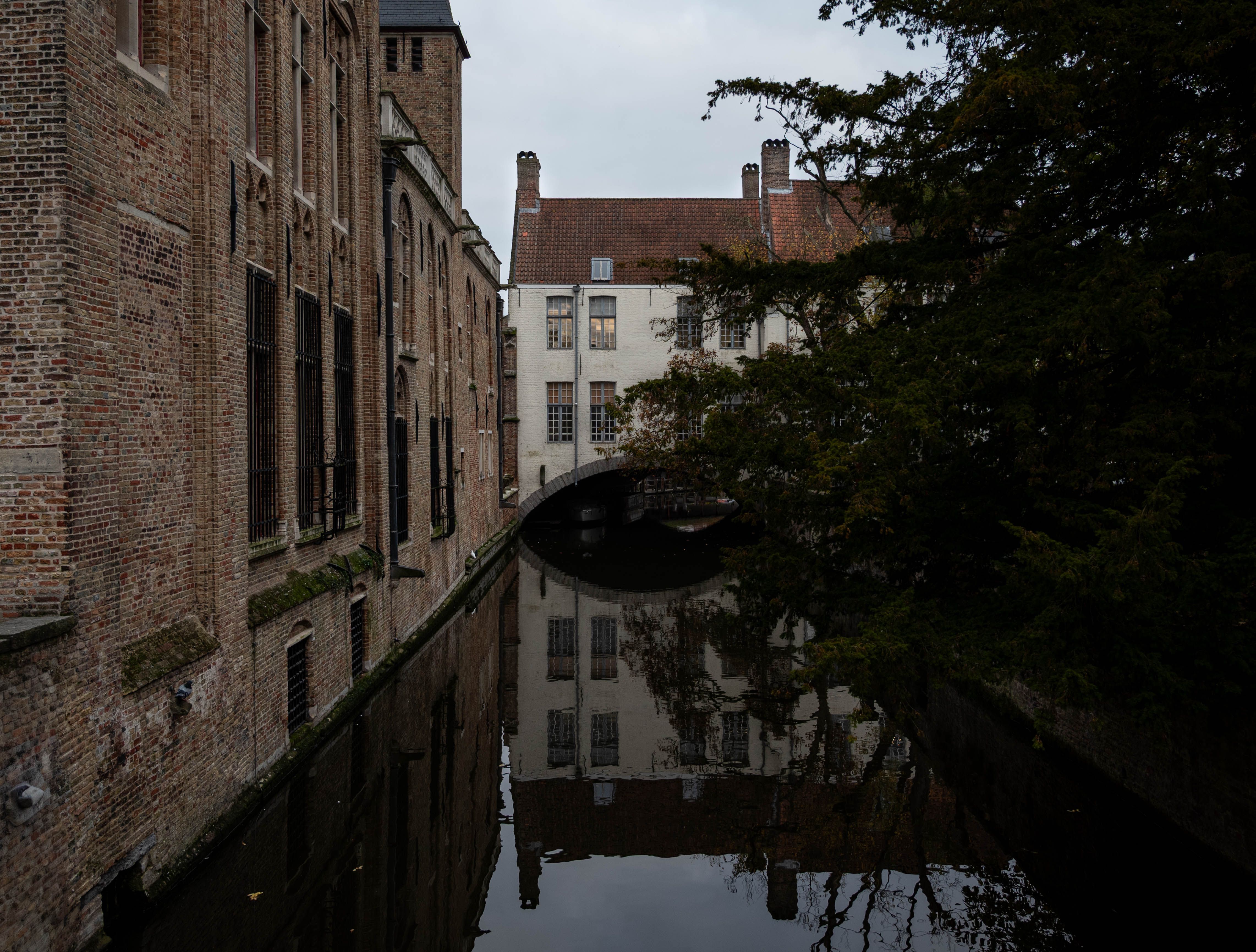 Rustiek kanaal met olijfbomen rondom tuin.