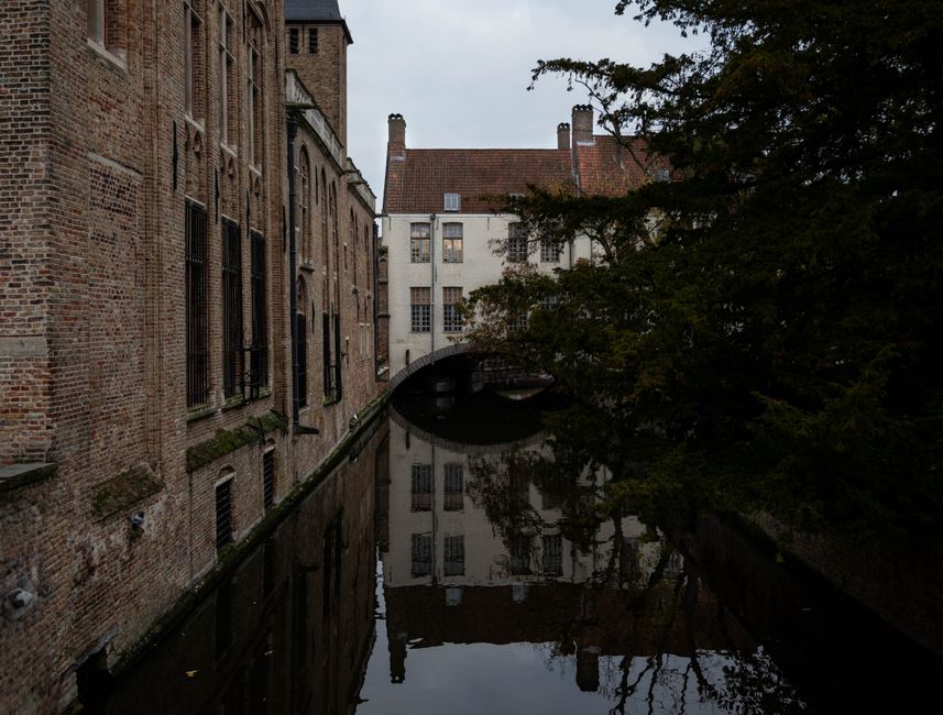 Rustiek kanaal met olijfbomen rondom tuin. Rustiek kanaal met olijfbomen rondom tuin.