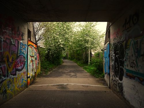 Free A vibrant graffiti tunnel opening to a scenic pathway lined with flowering trees in Bonn, Germany. Stock Photo