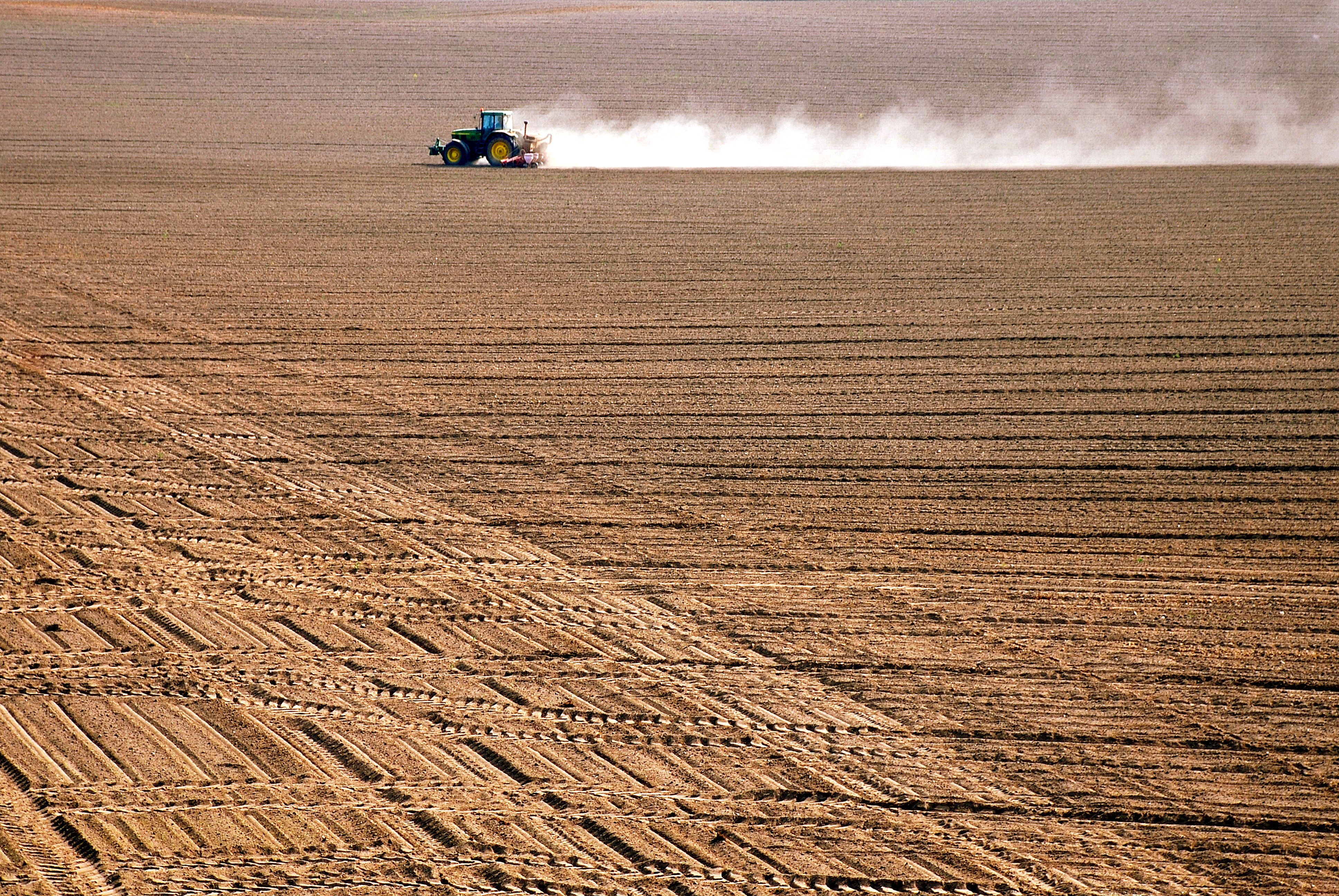 Climate Volatility Threatens Global Restaurant Supply Chains As Agricultural Systems Lag