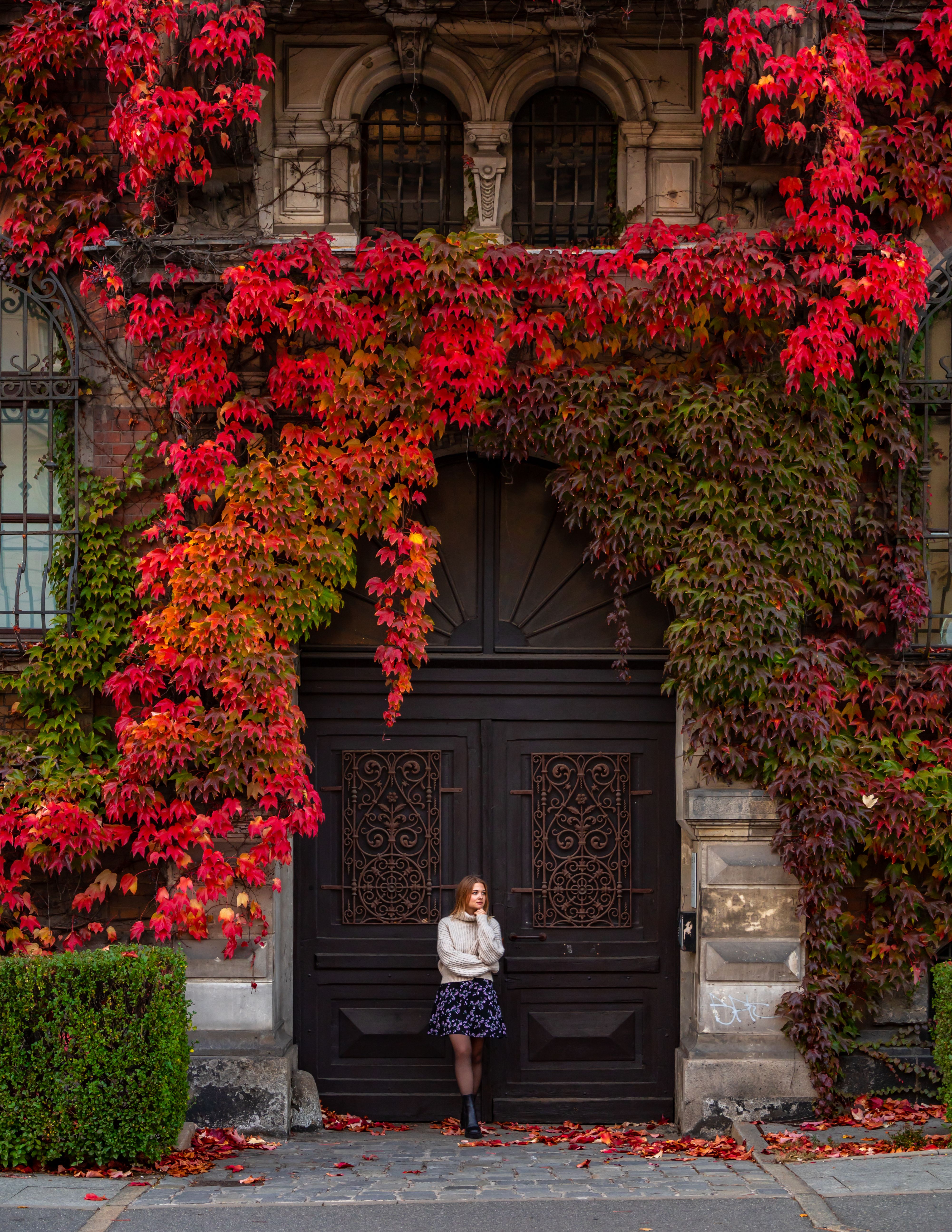 A woman stands by a historic door adorned with vibrant autumn ivy, showcasing seasonal beauty.