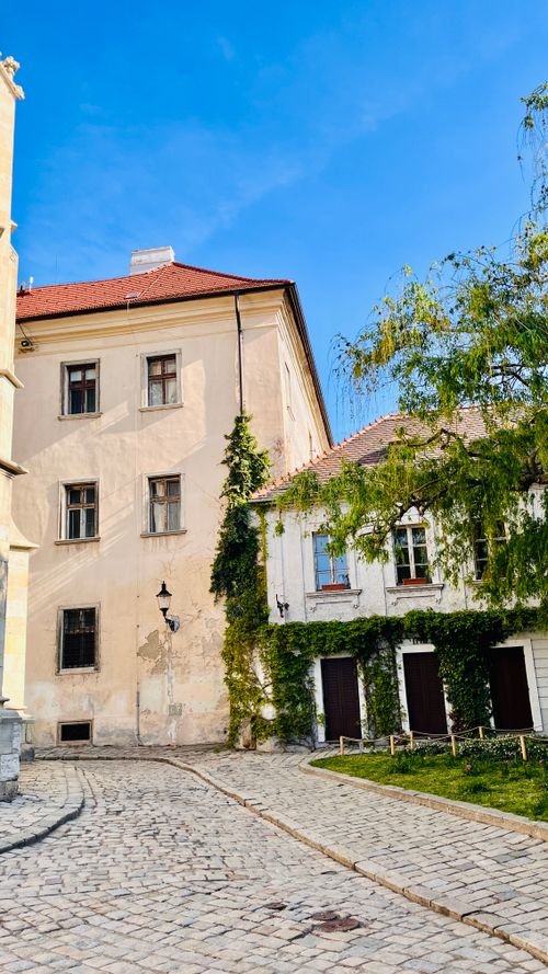 Free Charming historic courtyard with ivy-covered buildings under a bright blue sky. Stock Photo